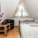 Brzoza W Centrum Zakopanego *