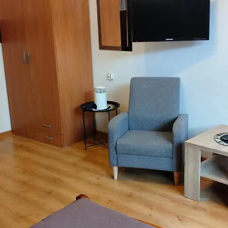 Brzoza W Centrum Zakopanego *