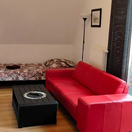 Brzoza W Centrum Zakopanego * Закопане