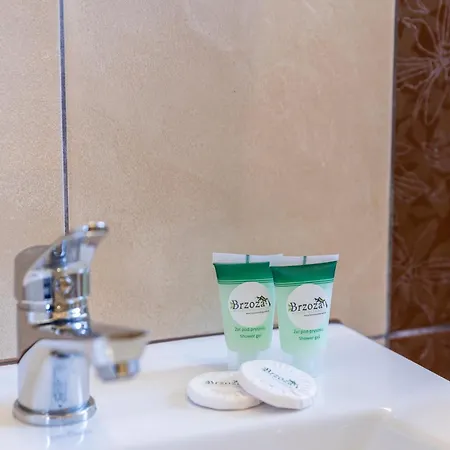 Feriested Brzoza W Centrum Zakopanego *