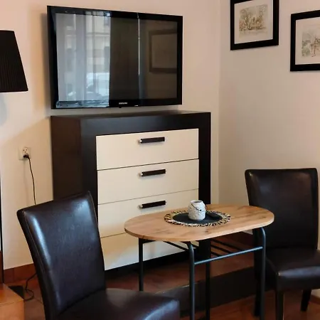 Brzoza W Centrum Zakopanego Feriested *