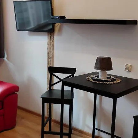 Brzoza W Centrum Zakopanego Feriested Zakopane