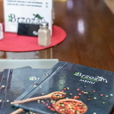 Brzoza W Centrum Zakopanego 扎科帕内