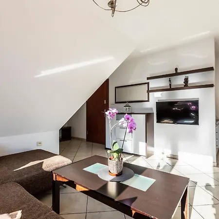 Brzoza W Centrum Zakopanego * Zakopane