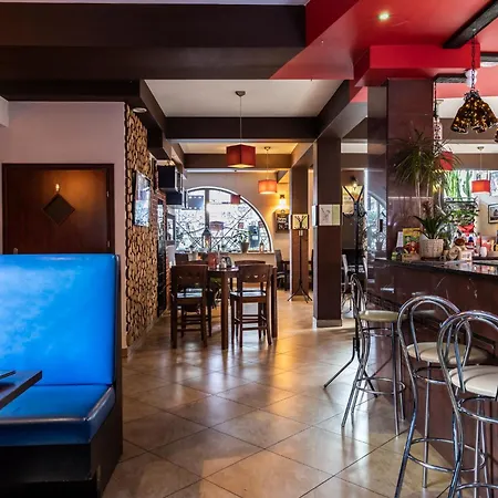 Brzoza W Centrum Zakopanego