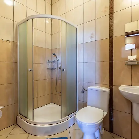 Brzoza W Centrum Zakopanego Zakopane