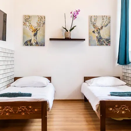 Brzoza W Centrum Zakopanego * Zakopane