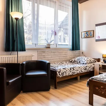 Brzoza W Centrum Zakopanego Zakopane