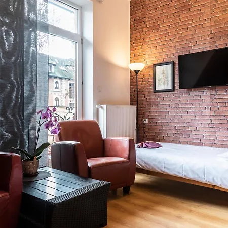 Feriested Brzoza W Centrum Zakopanego Zakopane