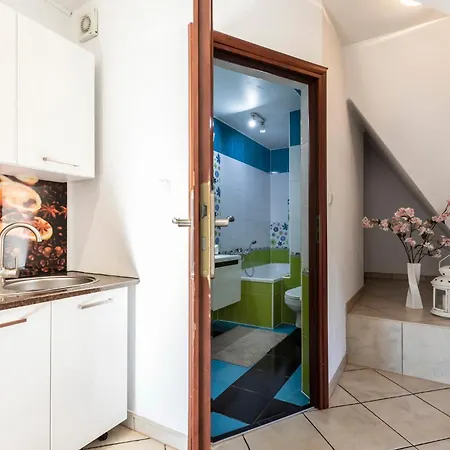 Brzoza W Centrum Zakopanego *