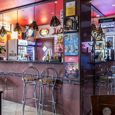 Brzoza W Centrum Zakopanego Zakopane