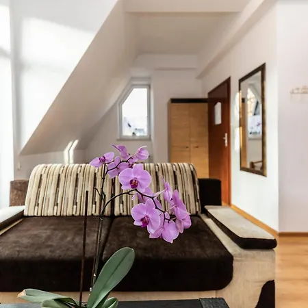 Feriested Brzoza W Centrum Zakopanego *