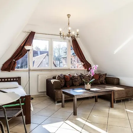 Brzoza W Centrum Zakopanego Feriested Zakopane