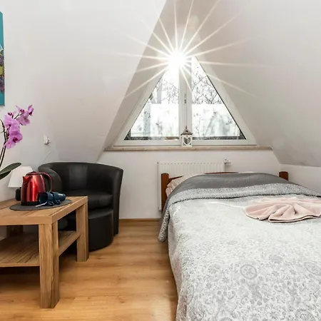 Brzoza W Centrum Zakopanego *