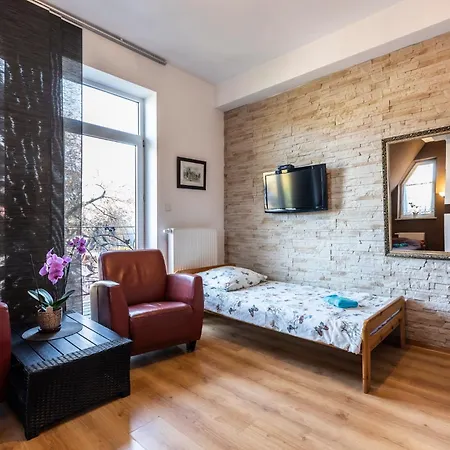 Brzoza W Centrum Zakopanego Zakopane