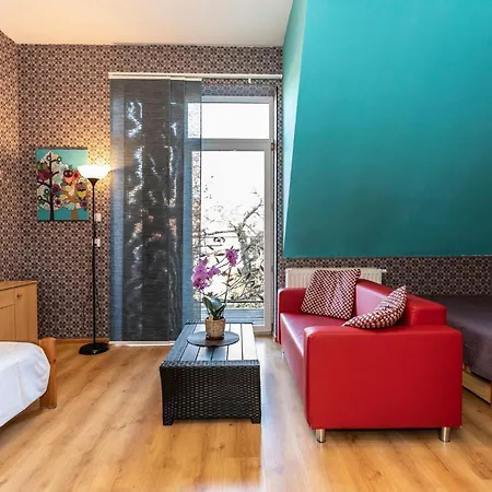 Brzoza W Centrum Zakopanego