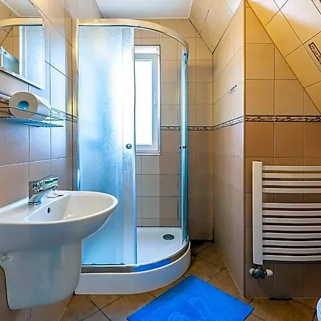 Brzoza W Centrum Zakopanego *