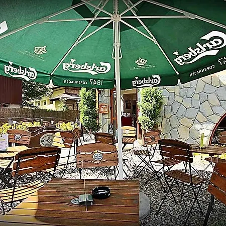 Brzoza W Centrum Zakopanego * Zakopane