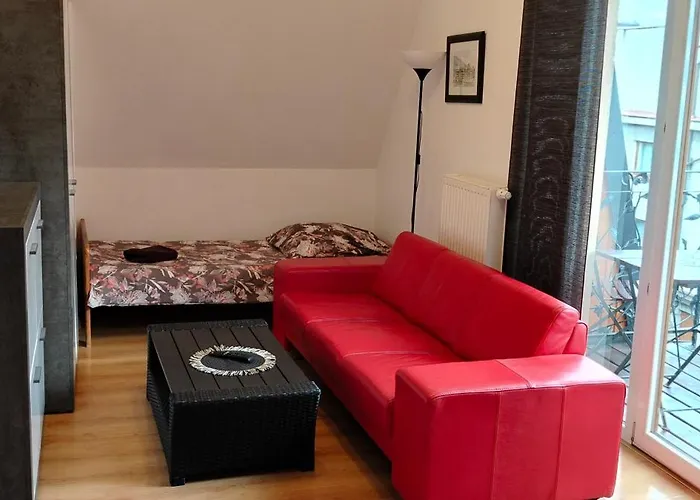 Brzoza W Centrum Zakopanego * Zakopane