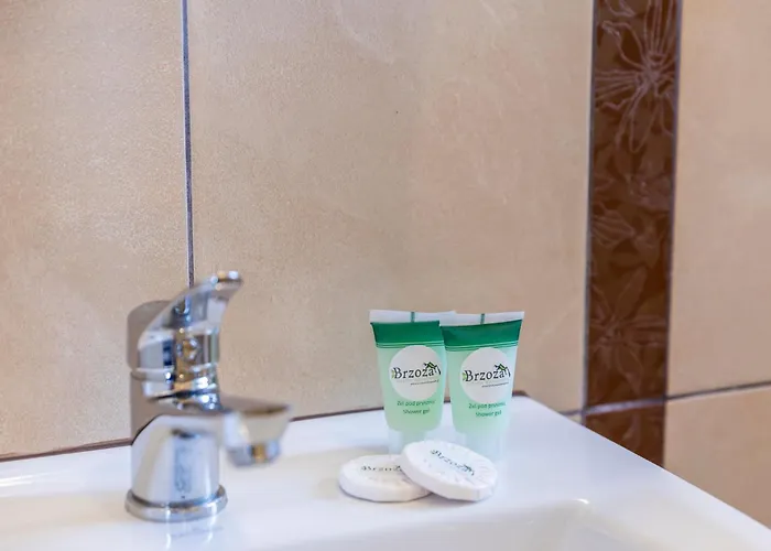 度假村 Brzoza W Centrum Zakopanego *