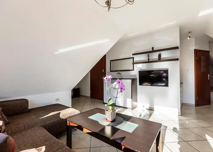 Brzoza W Centrum Zakopanego * 扎科帕内