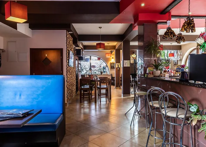 Brzoza W Centrum Zakopanego