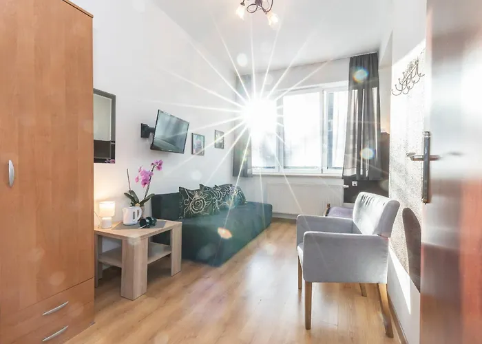 Brzoza W Centrum Zakopanego *