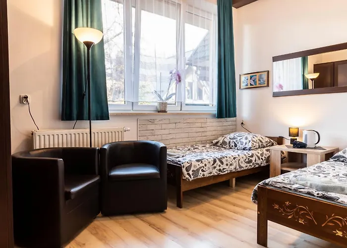 Brzoza W Centrum Zakopanego Zakopane