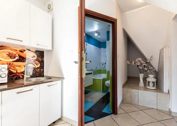 Brzoza W Centrum Zakopanego *