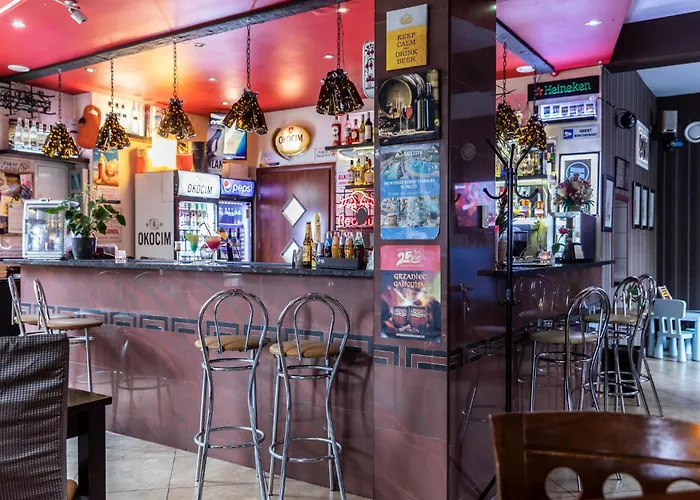 Brzoza W Centrum Zakopanego Zakopane