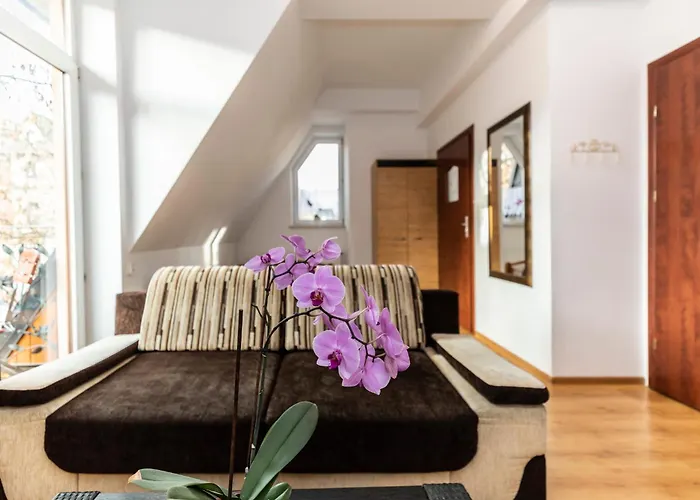 Resort Brzoza W Centrum Zakopanego *