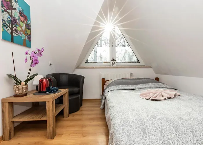 Brzoza W Centrum Zakopanego *