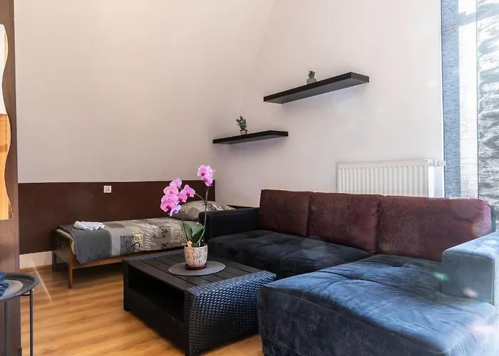 Brzoza W Centrum Zakopanego * 扎科帕内